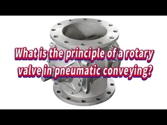 What is the principle of rotary valve in pneumatic conveying on September 11?
