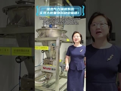 Pneumatic conveying system