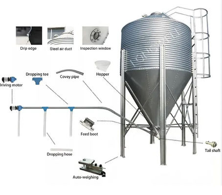 acheter Convoyeur stockage des aliments pour animaux Silos Hopper bas Silos en acier galvanisé online manufacture