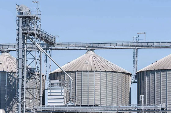 Silos de stockage de fourrages personnalisés 6-27 mètres Hopper Bottom Silo avec échelle
