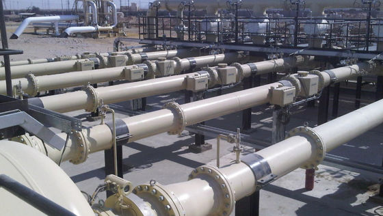 Système de mesure des liquides 0-1000 L/Hr Modbus Instruments de mesure des liquides
